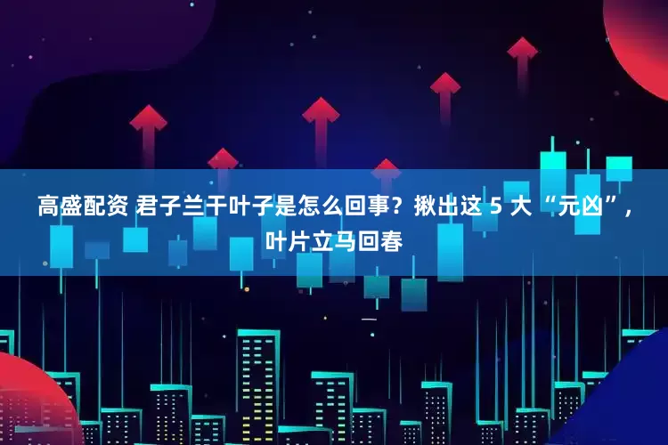 高盛配资 君子兰干叶子是怎么回事？揪出这 5 大 “元凶”，叶片立马回春