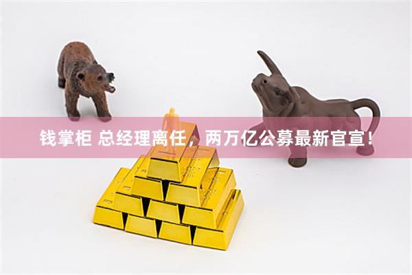 钱掌柜 总经理离任，两万亿公募最新官宣！