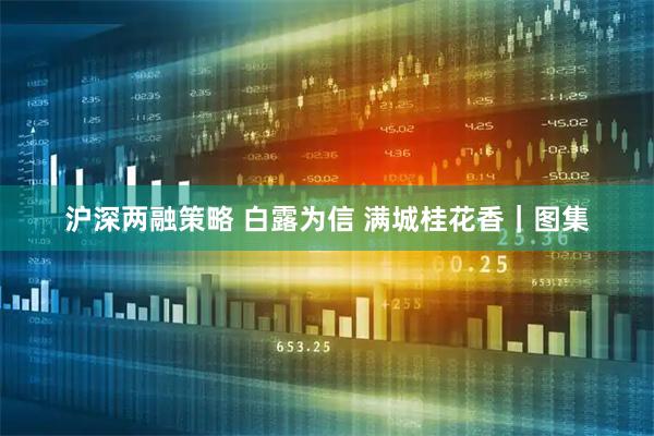 沪深两融策略 白露为信 满城桂花香｜图集